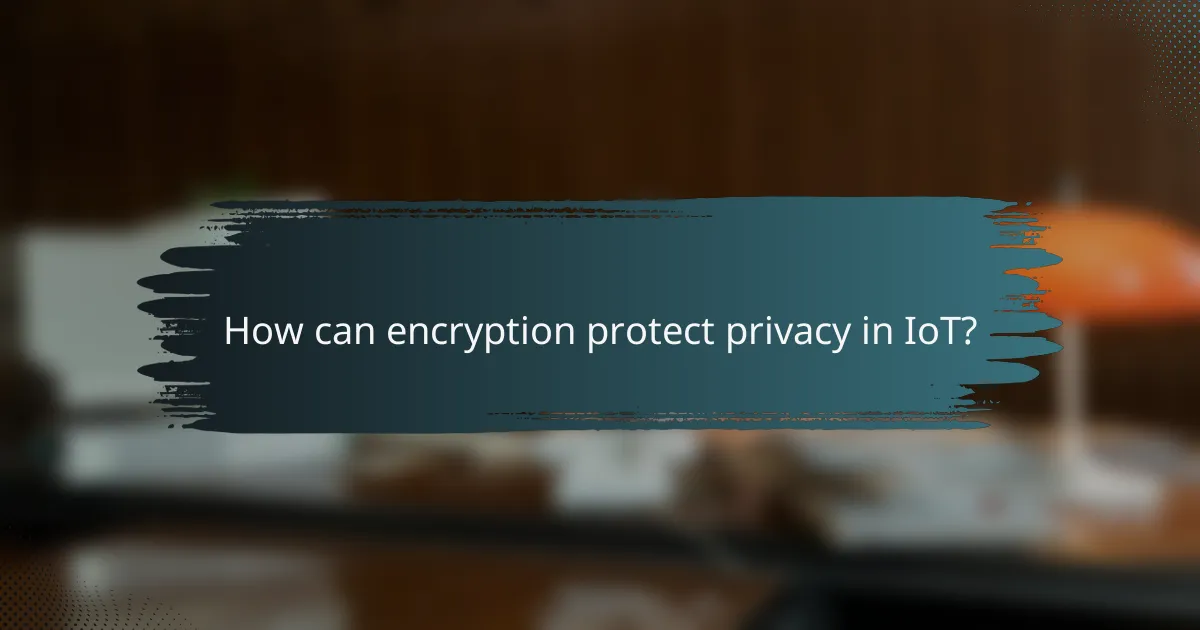 How can encryption protect privacy in IoT?