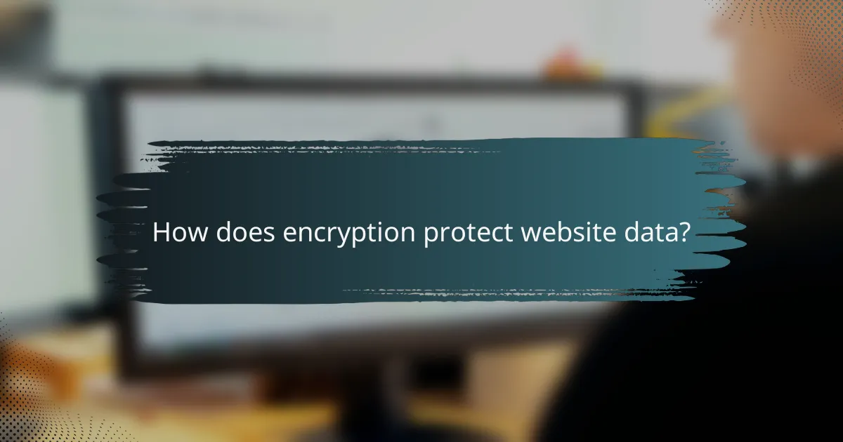 How does encryption protect website data?