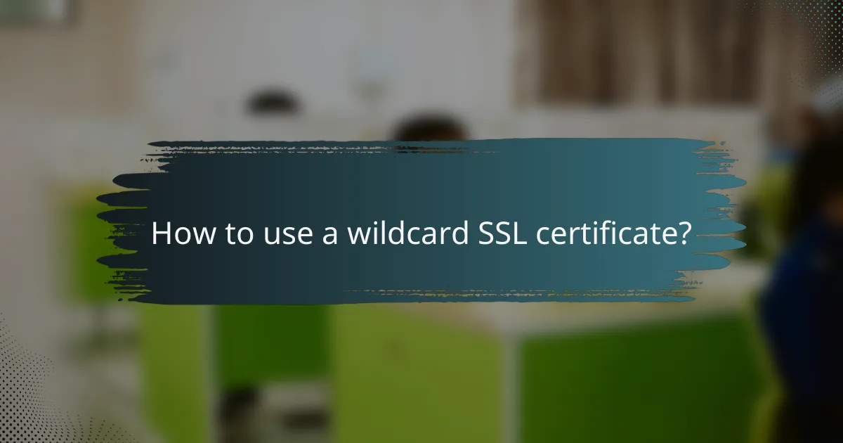 How to use a wildcard SSL certificate?