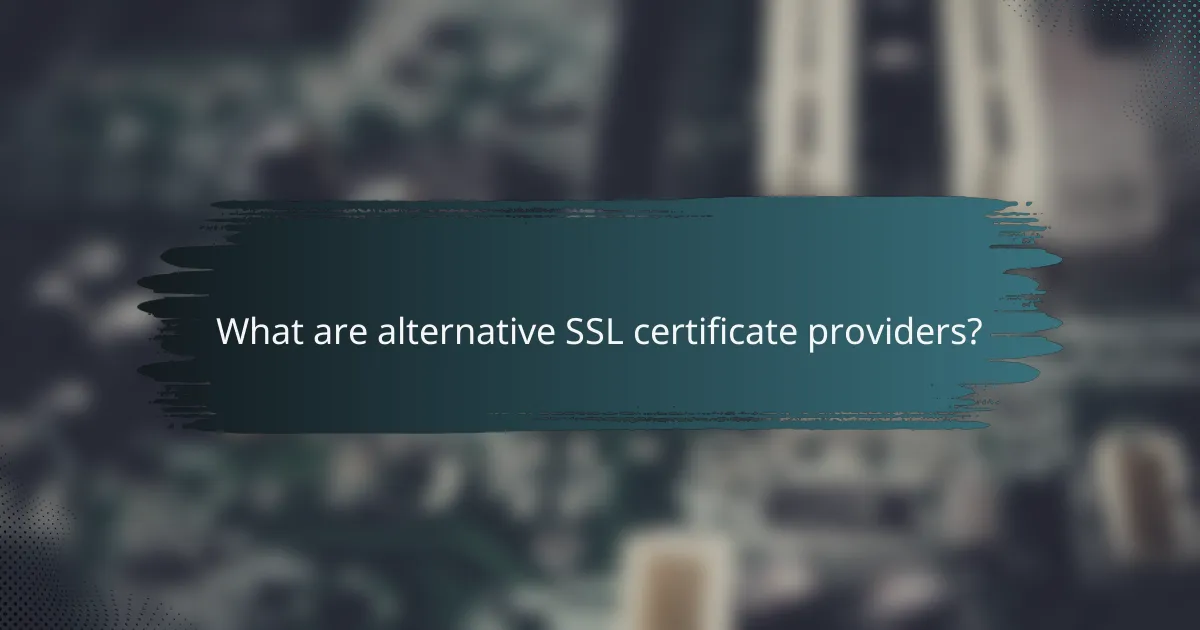 What are alternative SSL certificate providers?