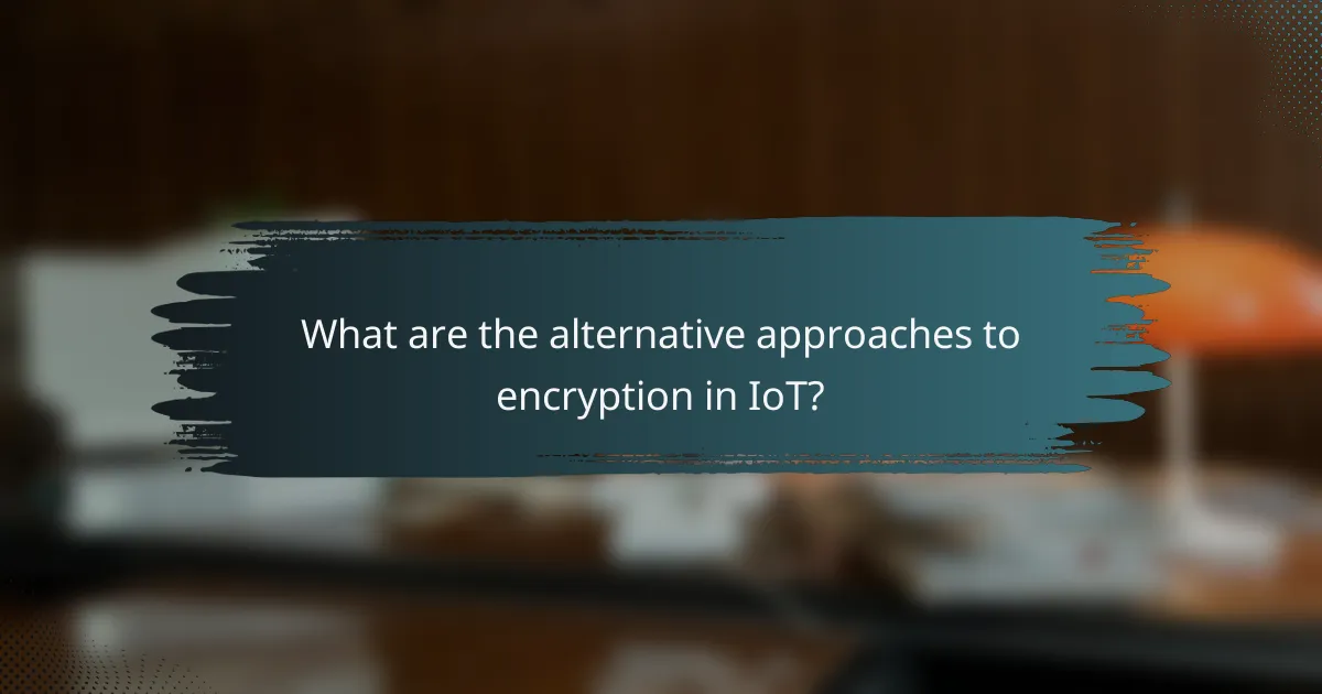 What are the alternative approaches to encryption in IoT?