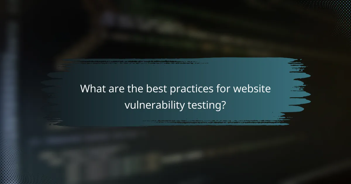 What are the best practices for website vulnerability testing?