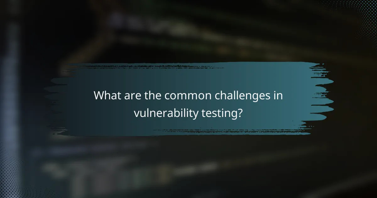 What are the common challenges in vulnerability testing?