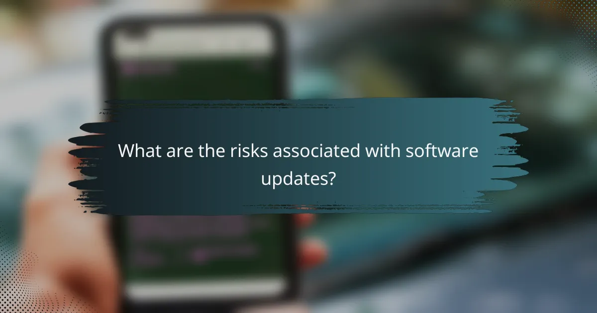 What are the risks associated with software updates?