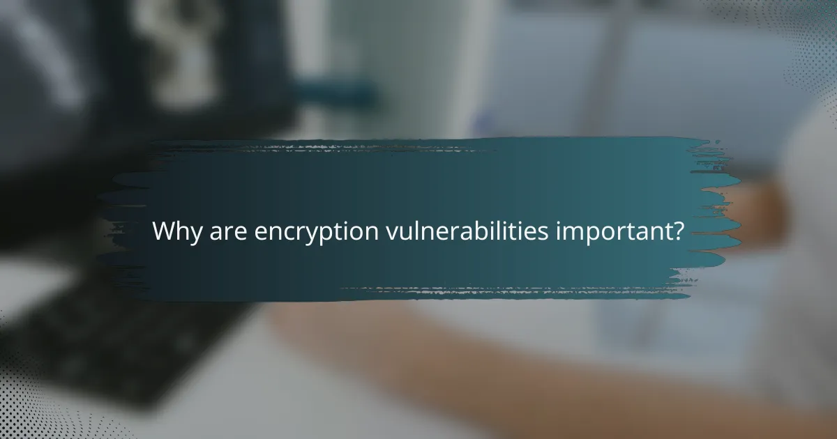 Why are encryption vulnerabilities important?